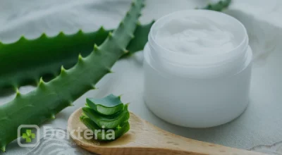 Kandungan dan Manfaat Lidah Buaya untuk Wajah, Sudah Tahu