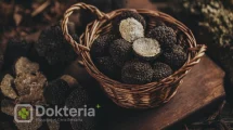 Mengenal Jamur Truffle, Manfaat dan Cara Mengolahnya