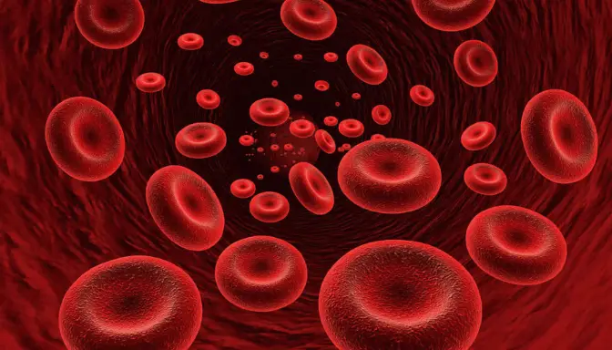 Anemia 5 Anemia Adalah Kekurangan Sel Darah Merah, Ini Faktanya