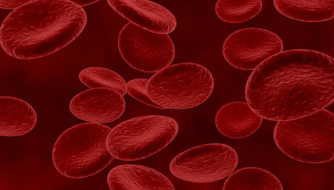 Anemia Hemolitik 3 Mengenal Anemia Hemolitik, Saat Sel Darah Merah Cepat Rusak