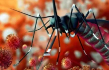 Virus Zika