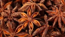 Adas Cina (Bunga Lawang) – Illicium verum